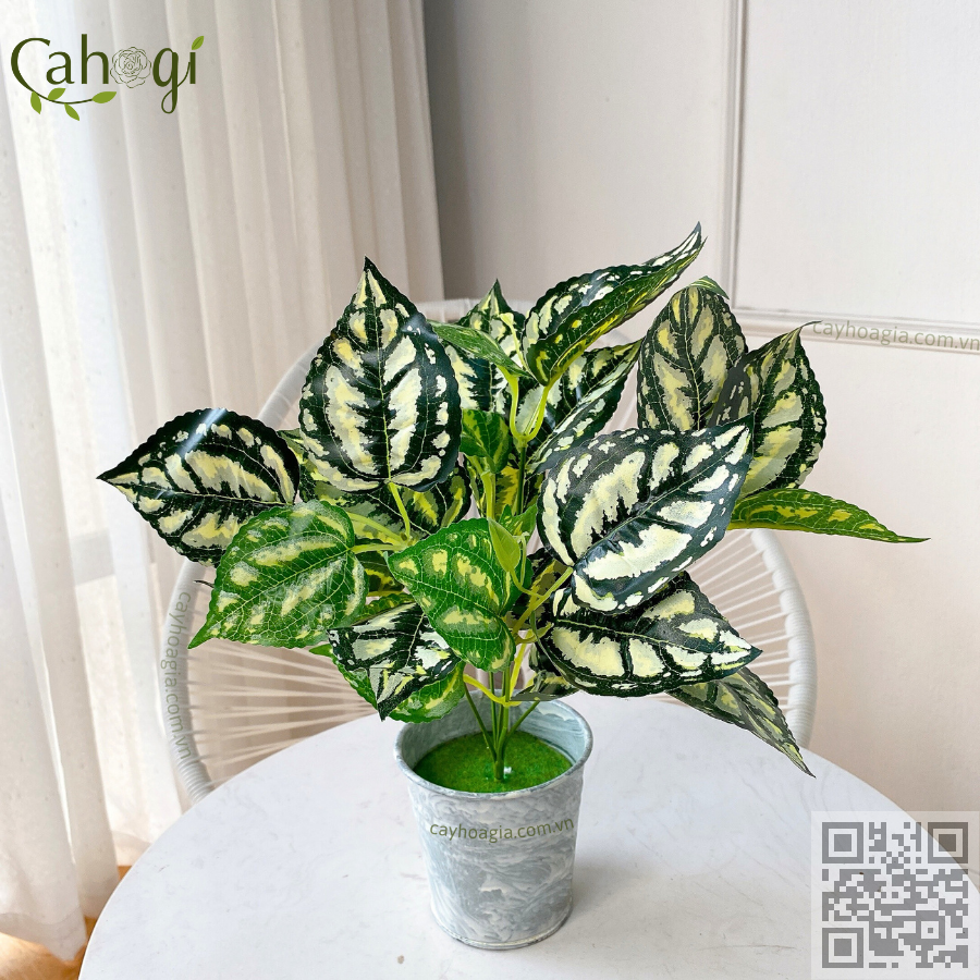 Cây Giả - Cây Trầu Bà Đốm Trắng