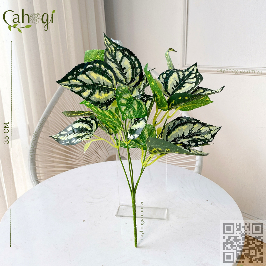 Cây Giả - Cây Trầu Bà Đốm Trắng
