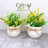 Hoa Giả - Chậu Hoa Đỗ Cắm Sẵn