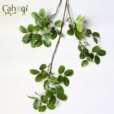 Cành Bằng Lăng 3 Nhánh Quả Nhỏ 110 Cm