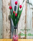 Hoa Giả - Chùm Tulip 5 Bông Trồng Hàng Rào Ban Công