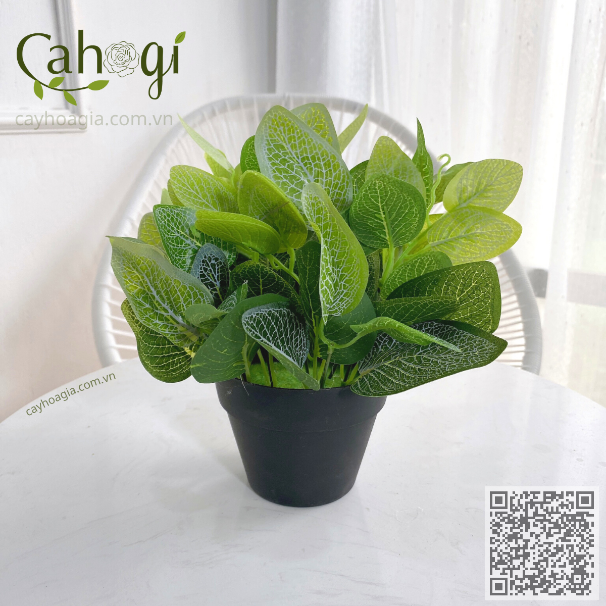 Chậu Cây Giả Trang Trí Để Bàn Cỡ Nhỏ 20x 20 Cm Bộ 2 – CaHoGi Chậu Cây Giả Trang Trí Để Bàn Cỡ Nhỏ 20x 20 Cm Bộ 2 – CaHoGi