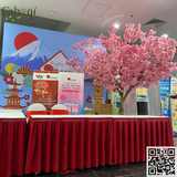 Thi Công Cho Thuê Cây Hoa Anh Đào Giả Quảng Bá Thương Hiệu Tại Chương Trình Của VTV