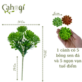 Chùm Cây Giả - Ngọn Sen Đá - Vạn Tuế 39 Cm