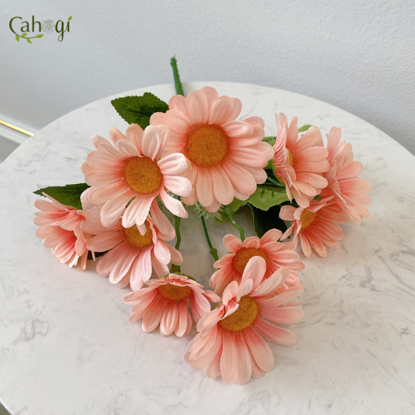 chum-hoa-dong-tien-10-bong-45cm-hong-phan2