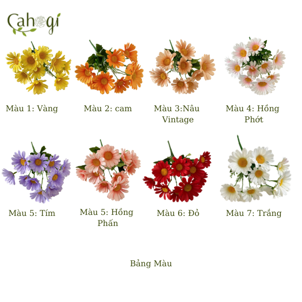 chum-hoa-dong-tien-10-bong-45cm-bang-mau