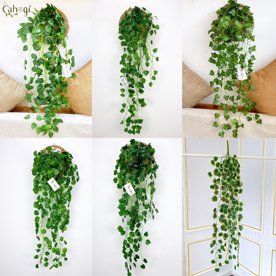 Chùm Cây Dây Leo Giả Trang Trí Các Mẫu Dài 96 cm : Vạn Niên Thanh, Lá Nho, Rau Má  Nhật, Trầu Bà, Thường Xuân