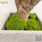 Combo 5 Cục Rêu Giả Trang Trí 12cm-15cm Cao Cấp