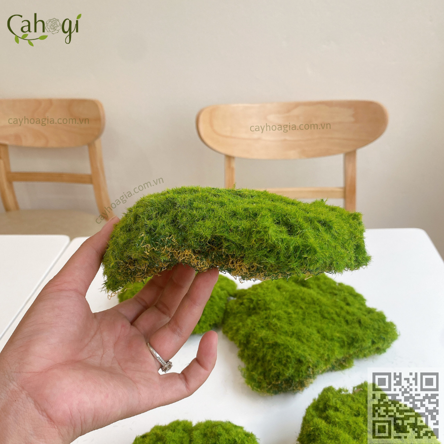 cuc-tham-reu-trang-tri-co-nhung-min