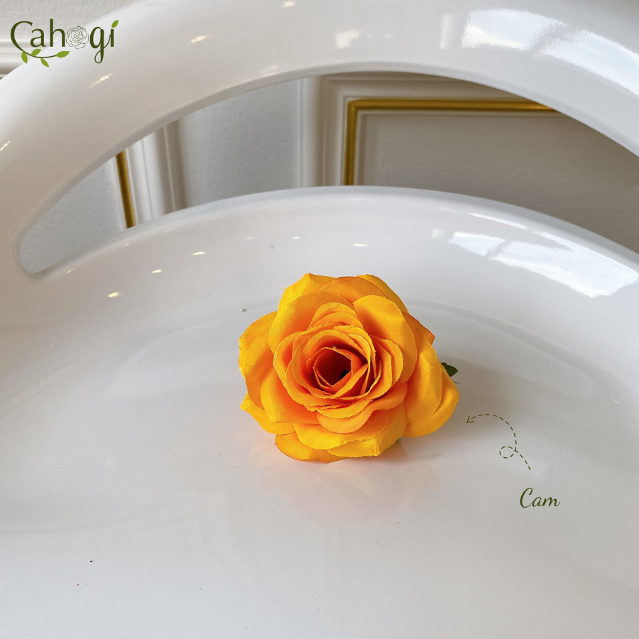 dau-bong-hong-vai-8cm-cam