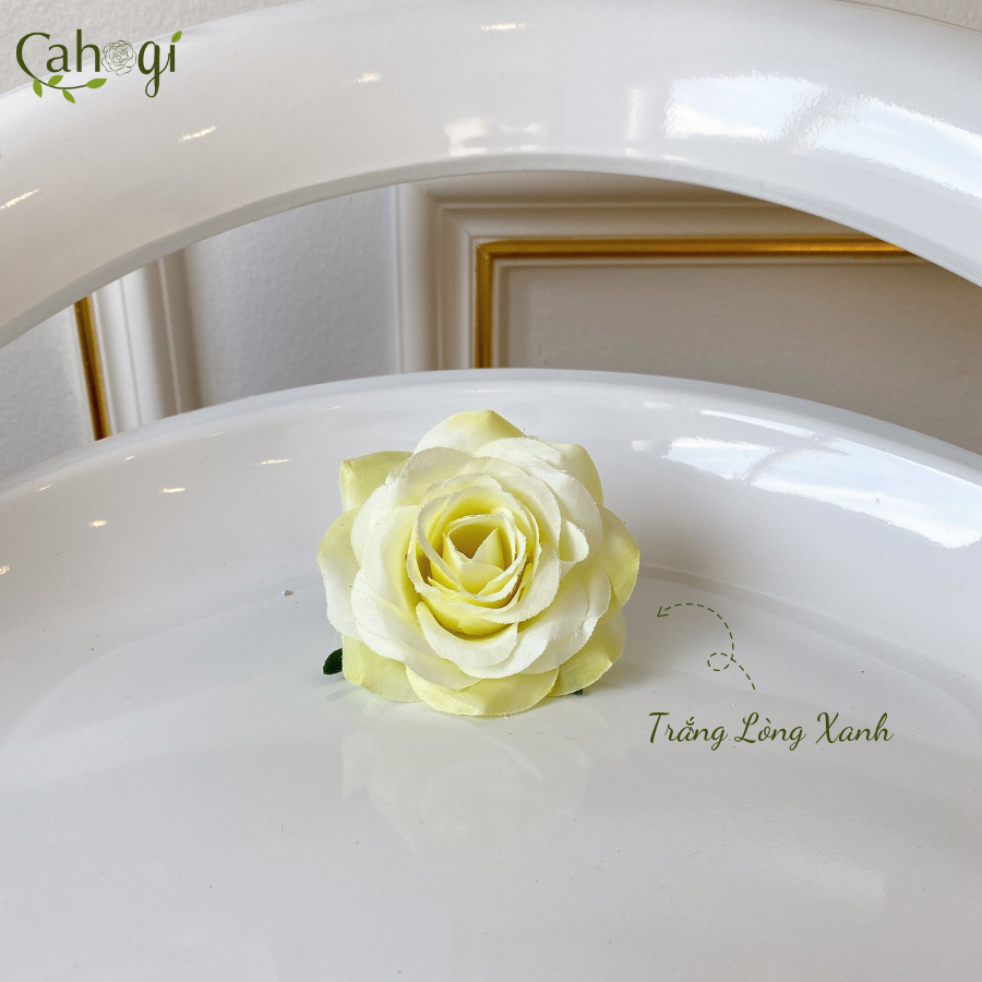 dau-bong-hong-vai-8cm-trang-long-xanh