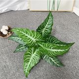 Cây Giả - Cây Môn Thái Cỡ Trung 9 Lá 43 Cm