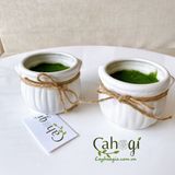 Chậu Nồi Sứ Mini Size