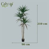Cây Giả Cây Phát Tài Núi Nhiều Kích Thước