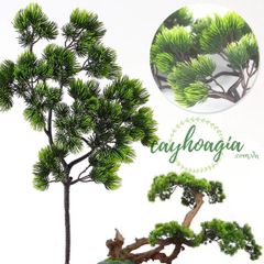 Khung Tranh Vuông Gỗ Thông Dùng Trong Cắm Hoa Và Trang Trí Tiểu Cảnh Terrarium Nhiều Kích Thước