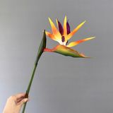 Hoa Giả- Hoa Chuối Thiên Điểu Cao Su Nhiều Màu Sắc 90 cm