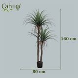 Cây Giả - Bụi Cây Yuca Giả Nhiều Kích Thước