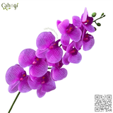 Hoa Giả Cành Lan Hồ Điệp Thân Đốm