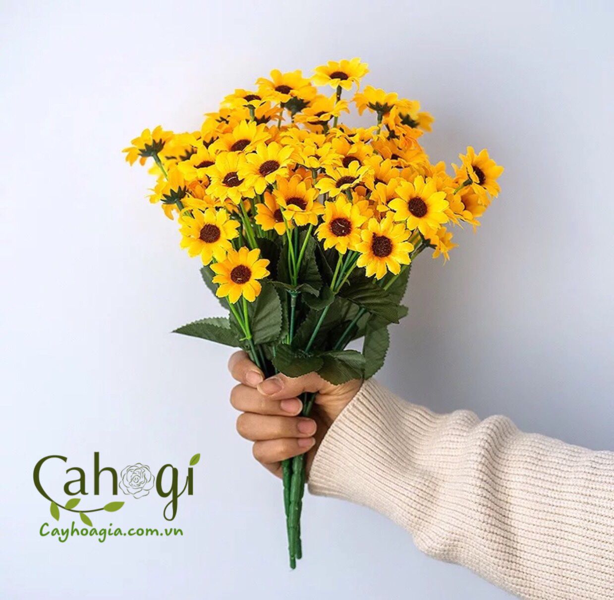 Hoa_cuc_vang_bong_nho_2