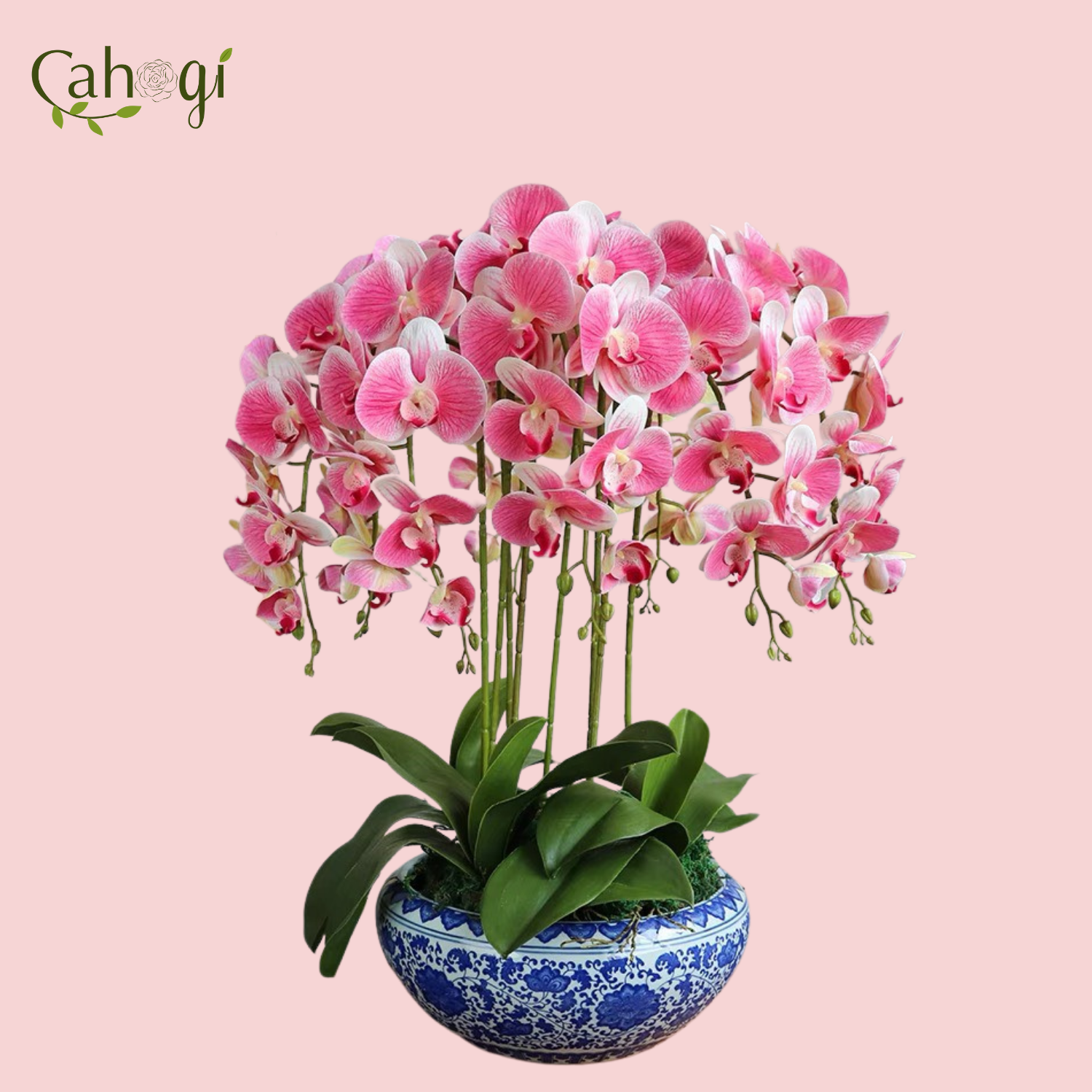 Hoa Giả- Hoa Lan Hồ Điệp Cao Su 9 Bông 100Cm – CaHoGi