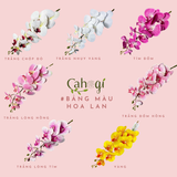 Hoa Giả- Hoa Lan Hồ Điệp Cao Su 9 Bông 100Cm