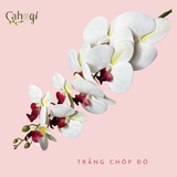 Hoa Giả- Hoa Lan Hồ Điệp Cao Su 9 Bông 100Cm