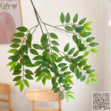 Cành Cây Giả - Cành Lá Từ Đằng, Lá Hoàng Yến Giả 13 Ngọn Lá 80 Cm