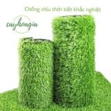 Thảm Cỏ Nhân Tạo Trải Sàn Ngọn Cao 3 Cm