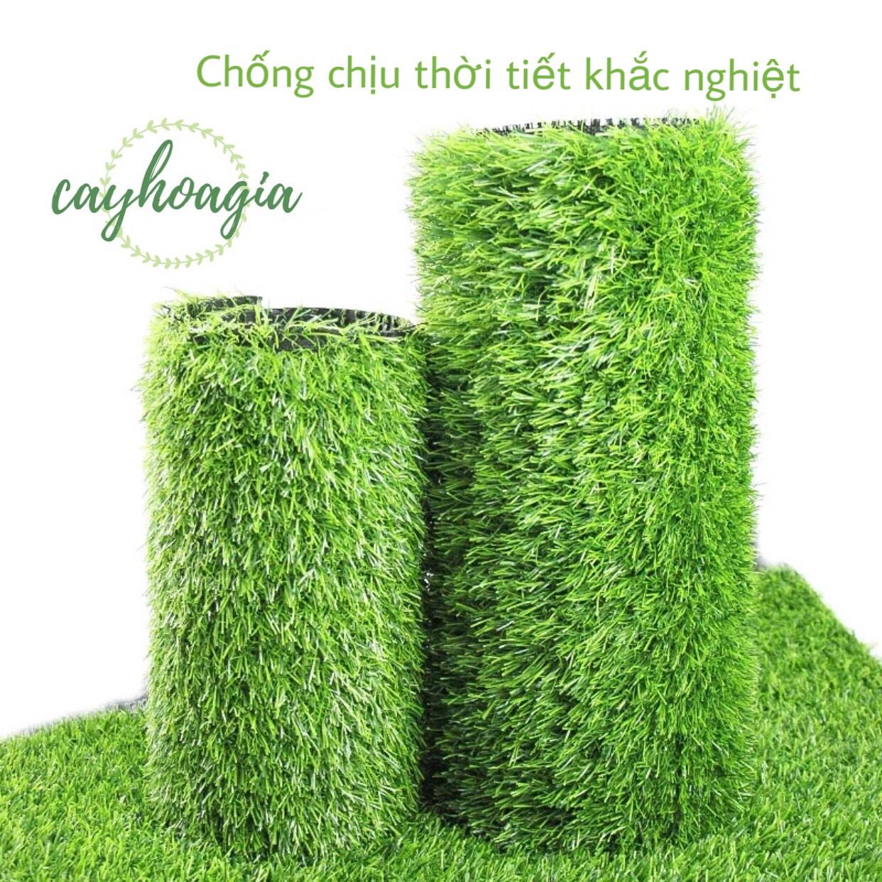 Thảm Cỏ Trải Sàn 3 Cm 0239