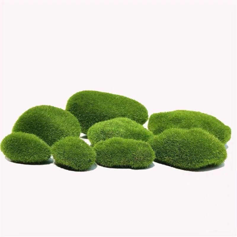 Soi_phu_co_reu_xanh_1