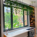 Thi Công Giàn Cây Leo Rủ Tại Toà Nhà Go Global Bắc Ninh