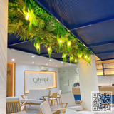 Thi Công Trần Dây Leo Giả, Hộc Cây Giả Văn Phòng Tòa Nhà Sen Group – Giải Pháp Xanh Đẳng Cấp