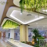 Thi Công Trần Leo Rủ Trang Trí Sảnh R4 Royal City