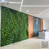 Thi Công Tường Cây Giả Cho Nhà Máy Giày ATHENA Ninh Bình