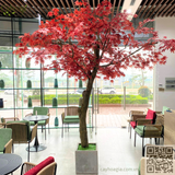 Cho Thuê - Thi Công Cây Phong Giả - Cây Phong Lá Đỏ Nhiều Kích Thước Theo Yêu Cầu Của Khách Hàng