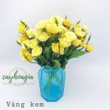 Chùm Hồng Peace 10 Bông