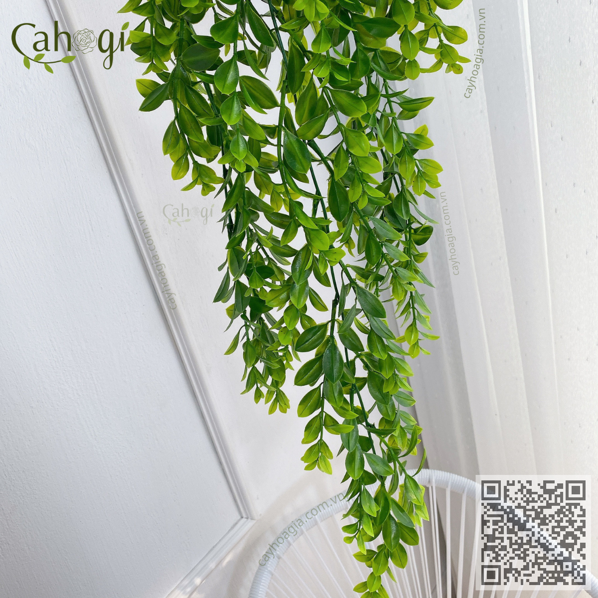 Chùm Lá Ngâu 85 Cm