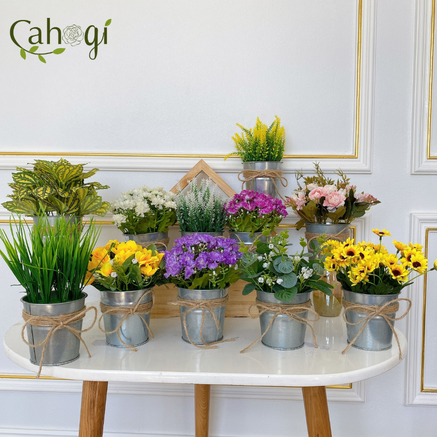 Xô-Sắt-Cắm-Hoa-Nhiều-Mẫu-1