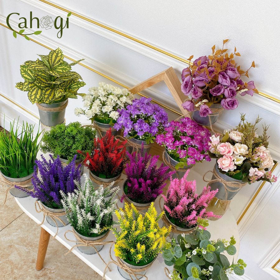 Xô-Sắt-Cắm-Hoa-Nhiều-Mẫu-2