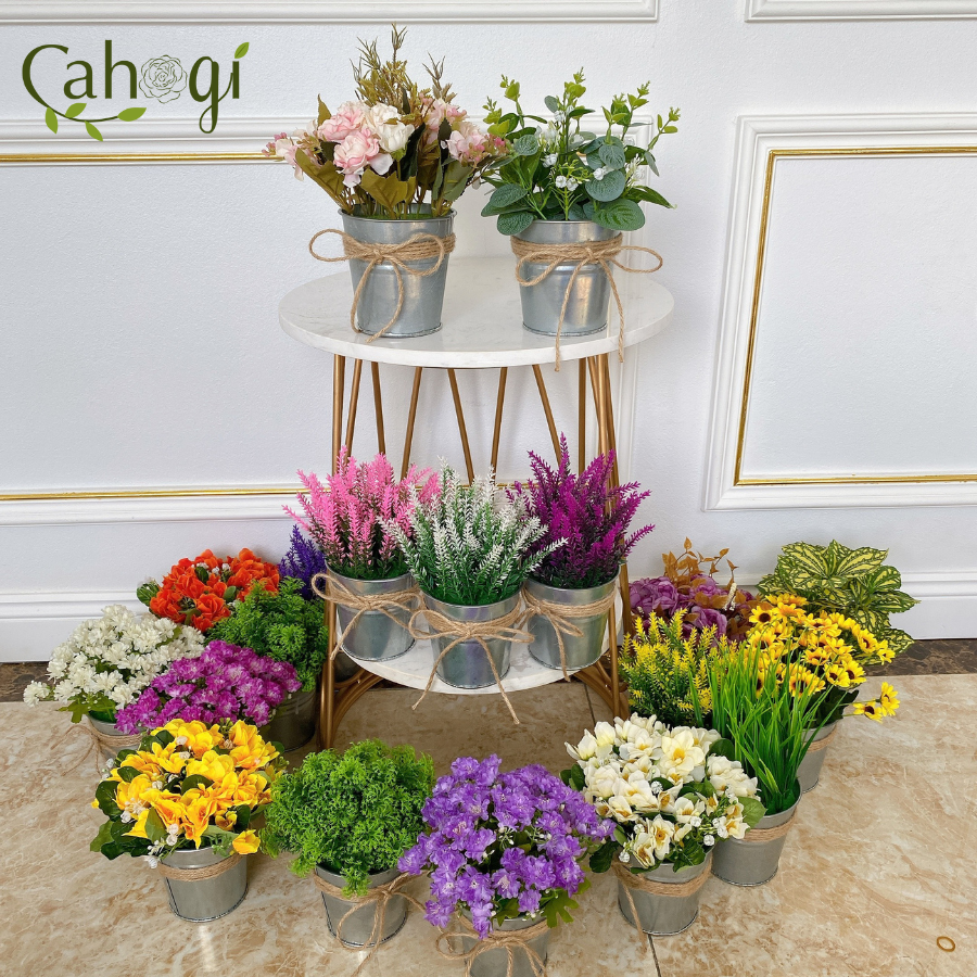 Xô-Sắt-Cắm-Hoa-Nhiều-Mẫu-3