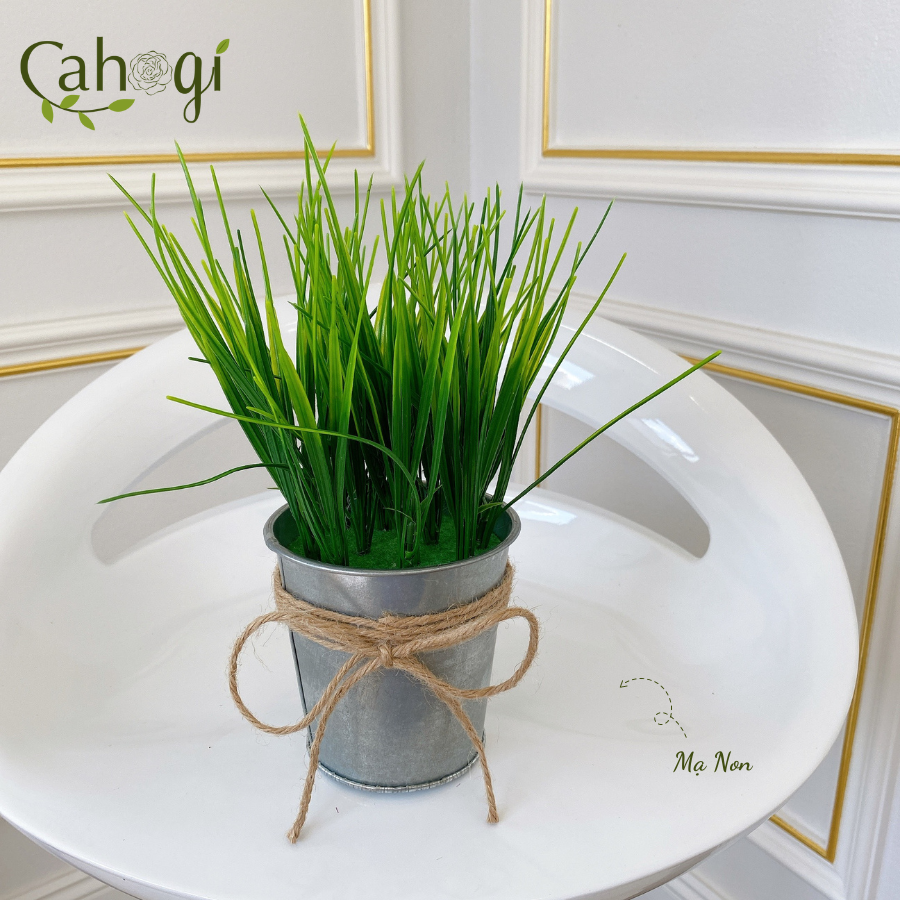 Xô-Sắt-Cắm-Hoa-Nhiều-Mẫu-SP091768