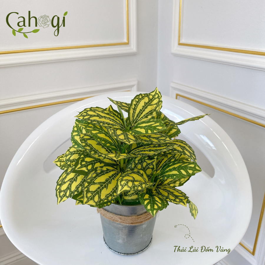 Xô-Sắt-Cắm-Hoa-Nhiều-Mẫu-SP091769