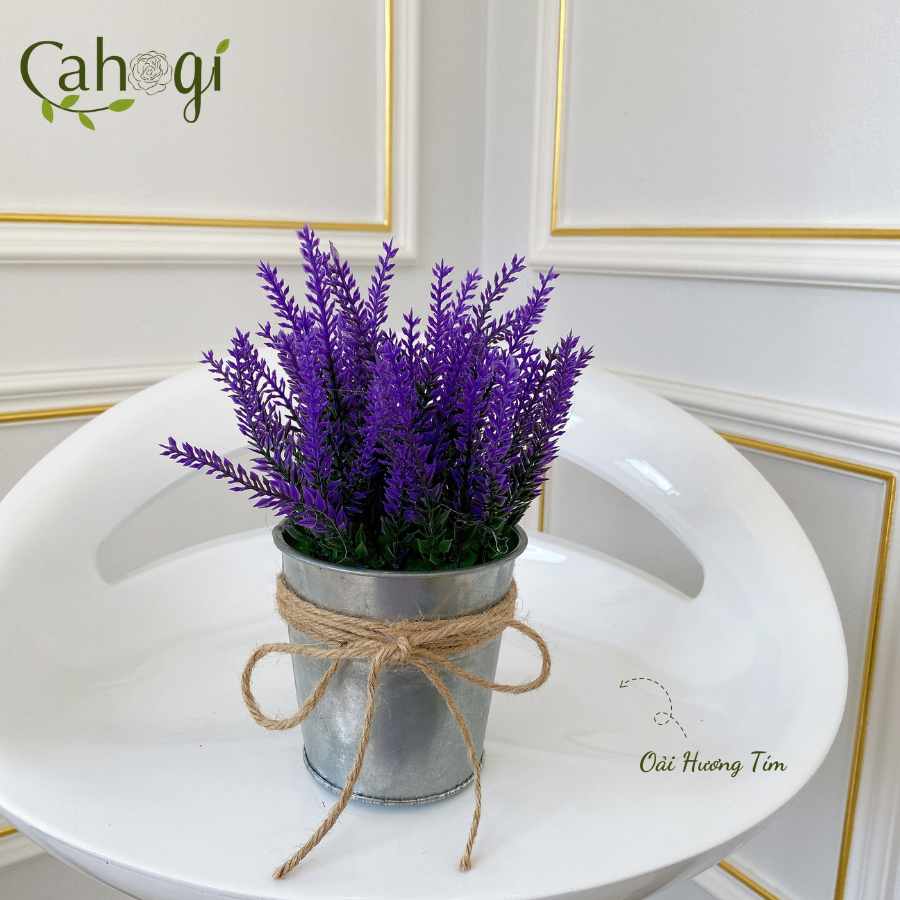 Xô-Sắt-Cắm-Hoa-Nhiều-Mẫu-SP091771