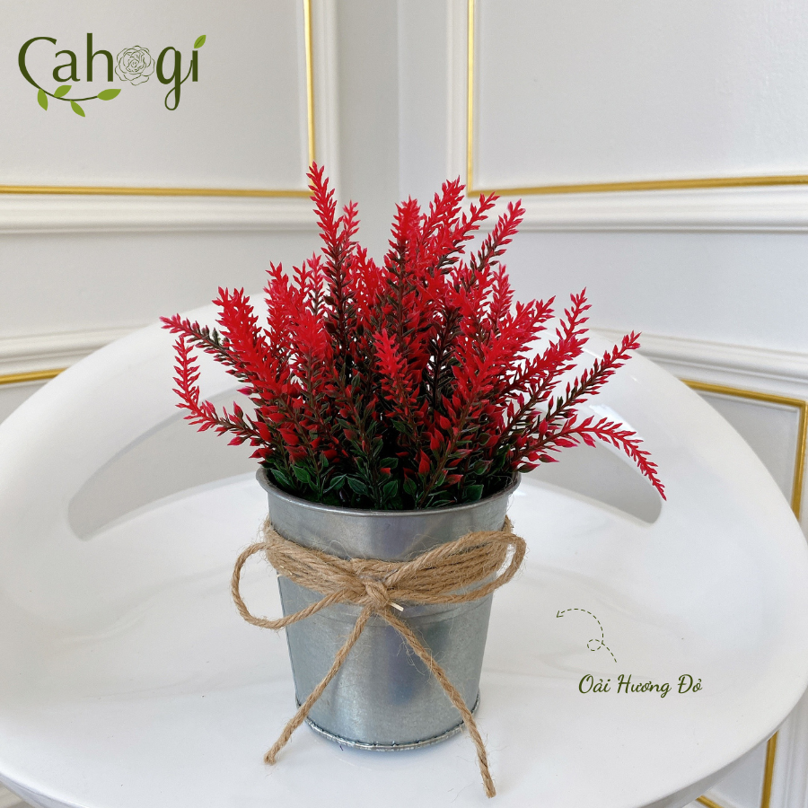 Xô-Sắt-Cắm-Hoa-Nhiều-Mẫu-SP091774