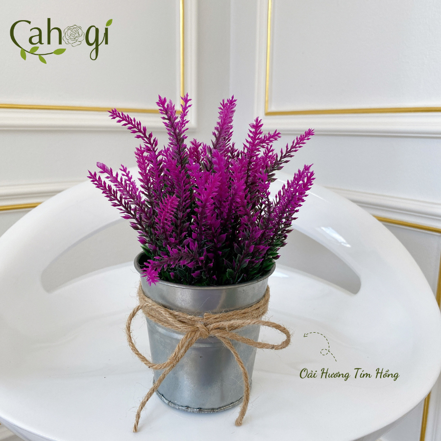 Xô-Sắt-Cắm-Hoa-Nhiều-Mẫu-SP091776