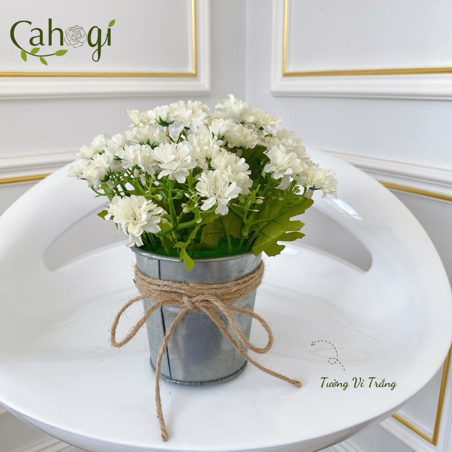 Xô-Sắt-Cắm-Hoa-Nhiều-Mẫu-SP091778