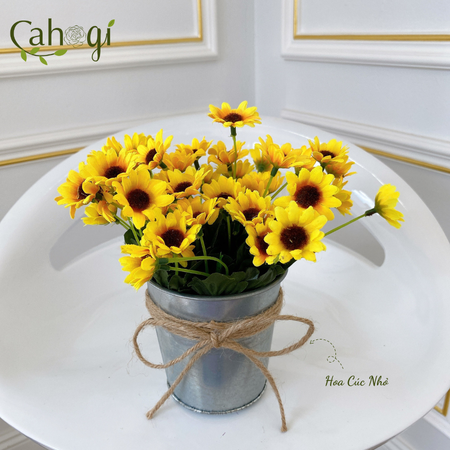 Xô-Sắt-Cắm-Hoa-Nhiều-Mẫu-SP091783