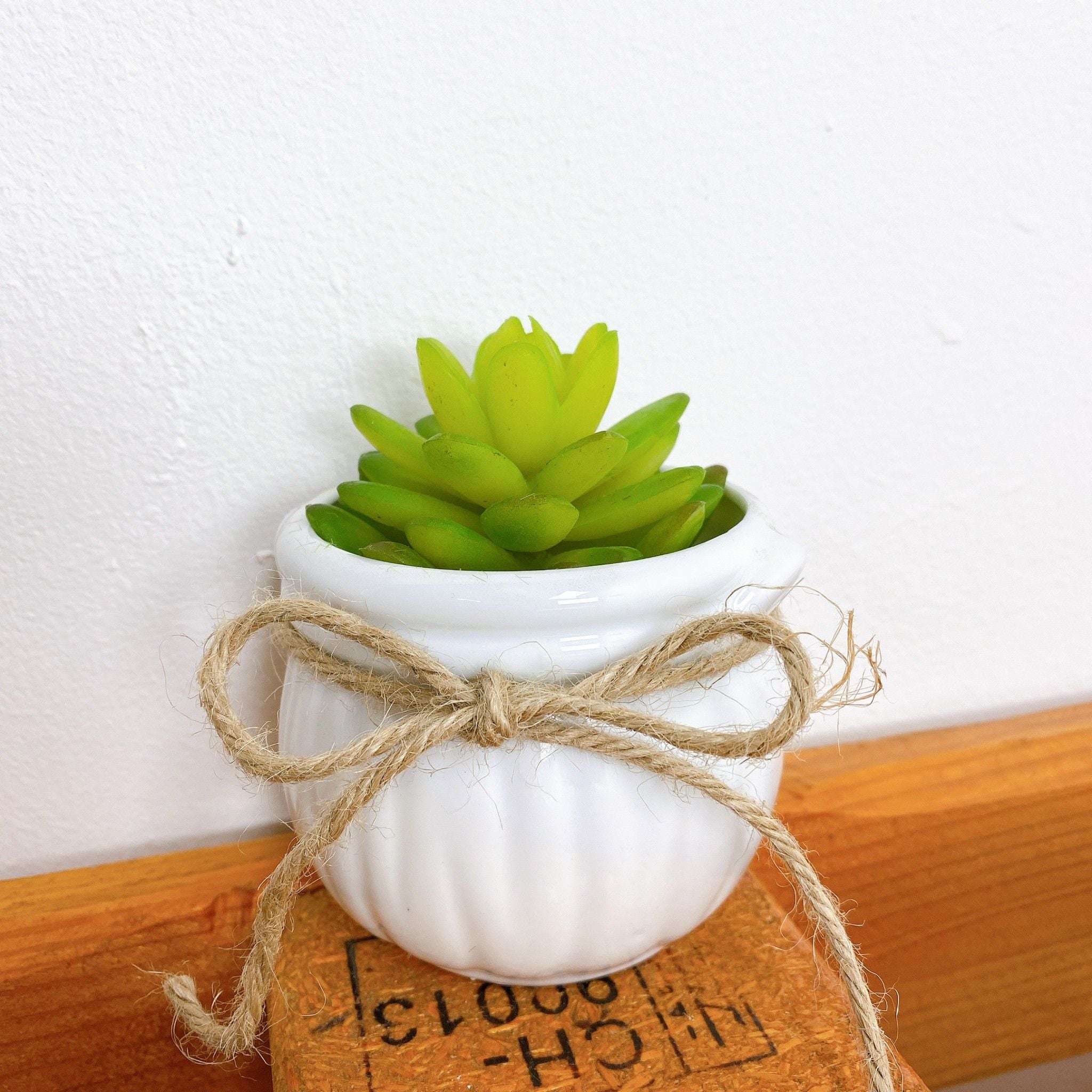 Chau_xuong_rong_gia_de_ban_2