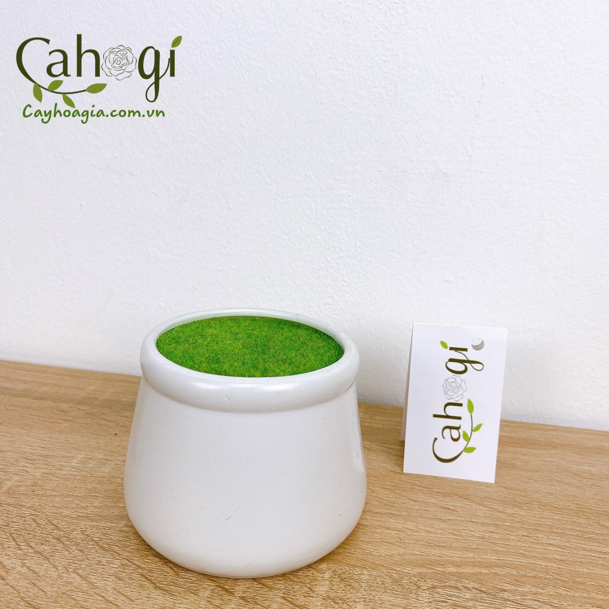 chau_cam_hoa_phu_co_mini_3