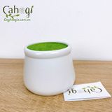Chậu Hũ Sữa 9x9 cm